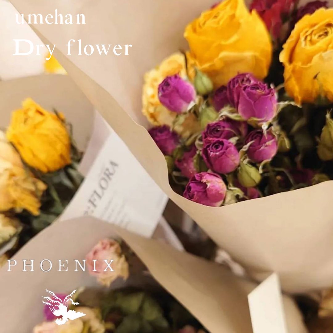 PHOENIXflower_'s tweet photo. ☆Instagram限定10周年プレゼント企画☆
フェニックス2店舗同時開催です!I
詳しくは
↓↓↓↓

■https://t.co/PHat2xn66g
■https://t.co/JEmUWLdsJs

#10周年
#プレゼント企画
#キャンペーン https://t.co/WuIJFLL0sp