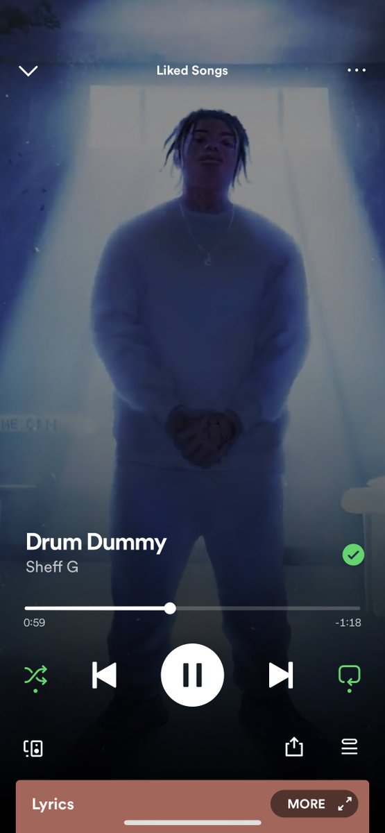 GoingPlatinum tweet media