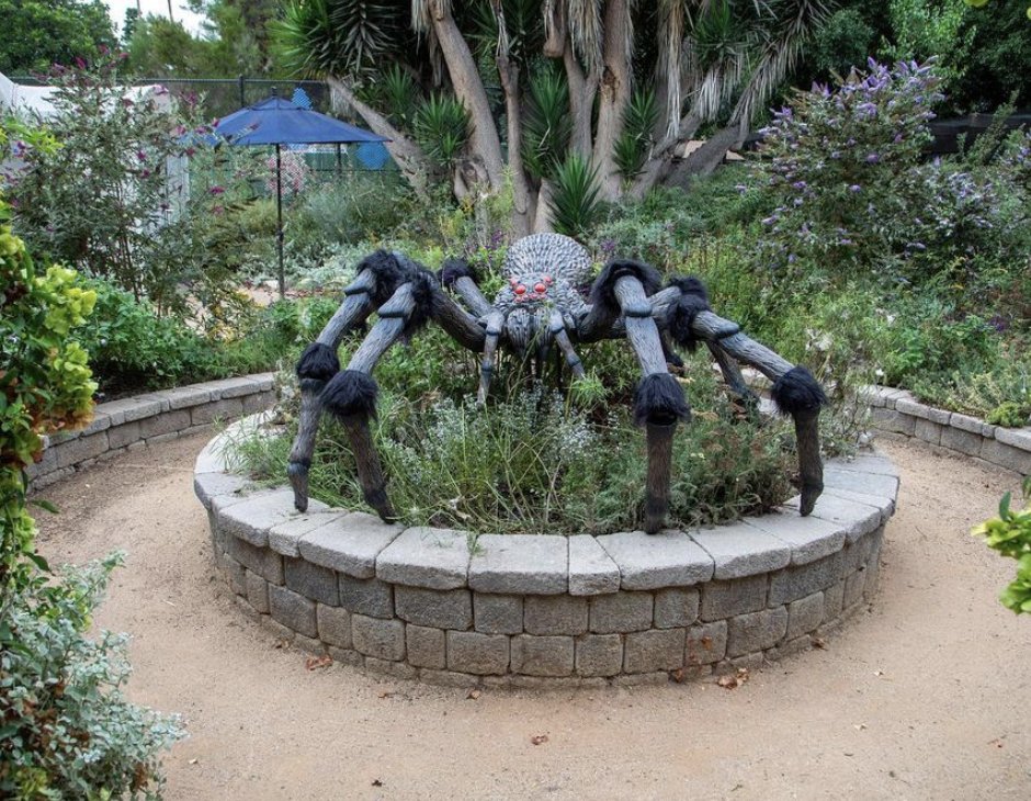 Take a crawl on the creepy side this fall with live spiders in the Spider Pavilion. Inside the South Coast Botanic Garden, an additional timed ticket will get you 30 minutes to explore a variety of orb-weaving spiders living freely in the garden. 

➡️ fal.cn/3tjsA