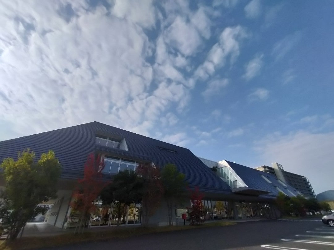 地図ねこ on Twitter