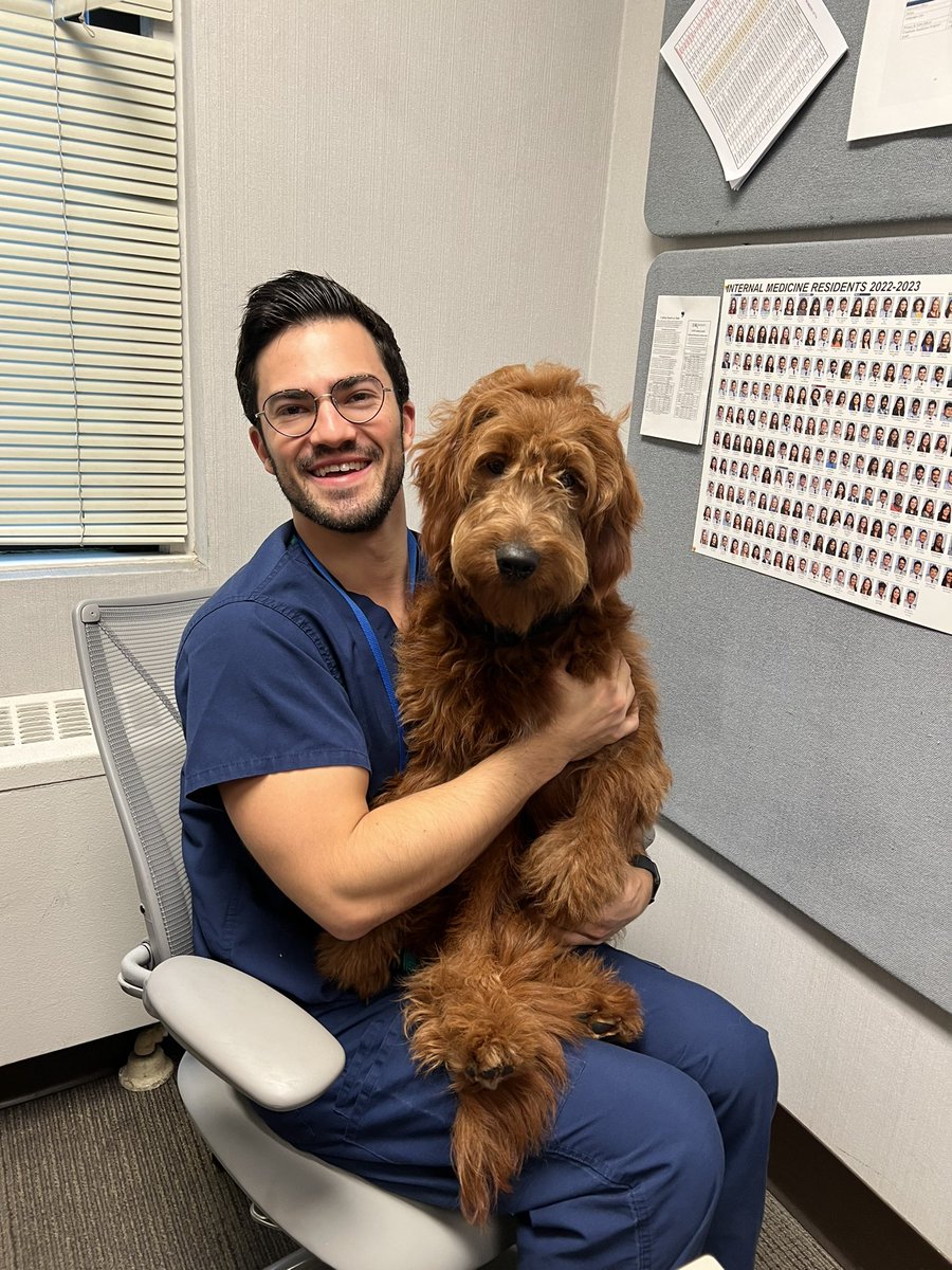 UTSW Internal Medicine Chiefs tweet media