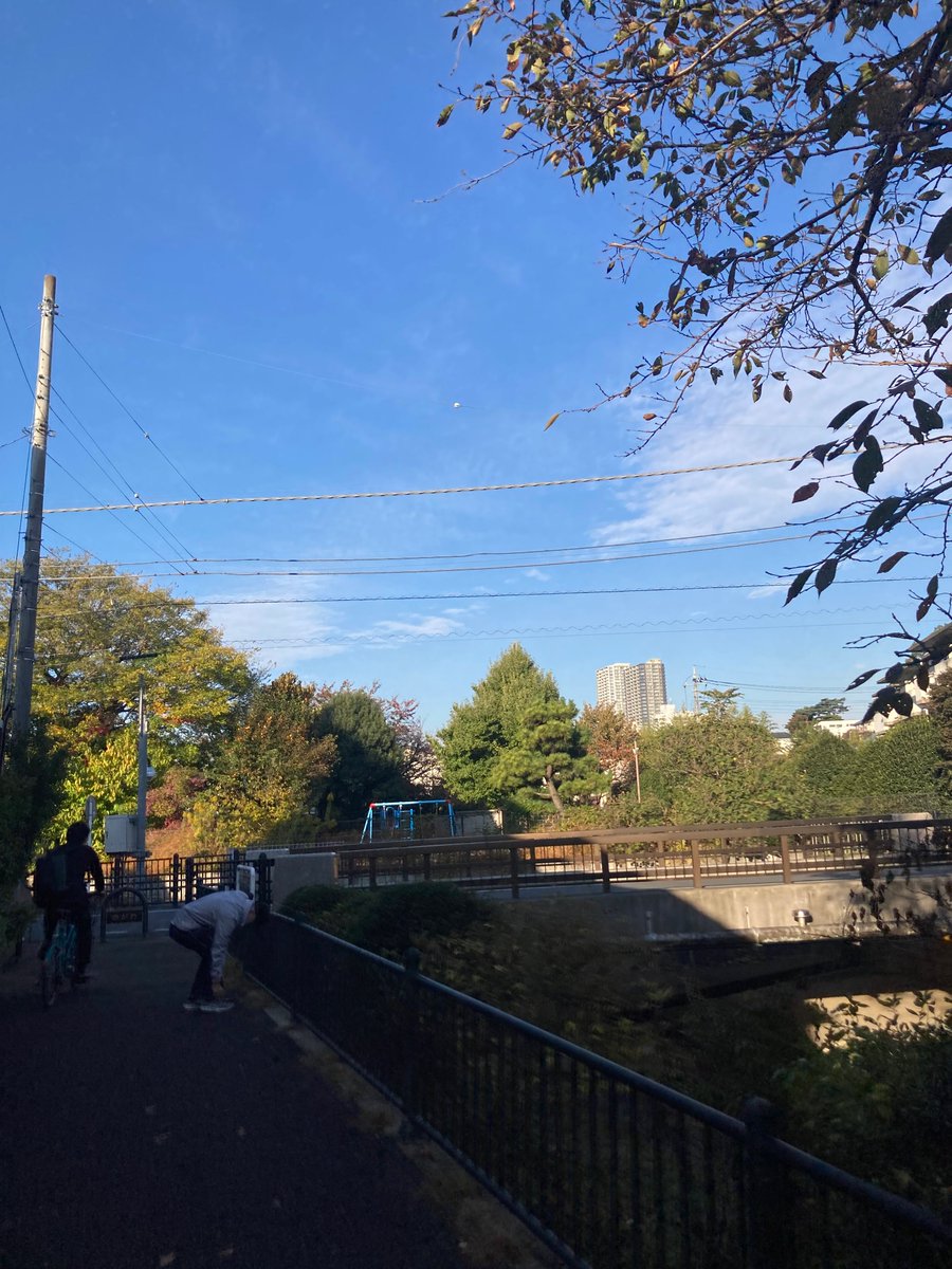 LinienAugustStr's tweet photo. #Herbst ist hier im Tokio meine kiez ＃野川 https://t.co/oMxh25ySnY