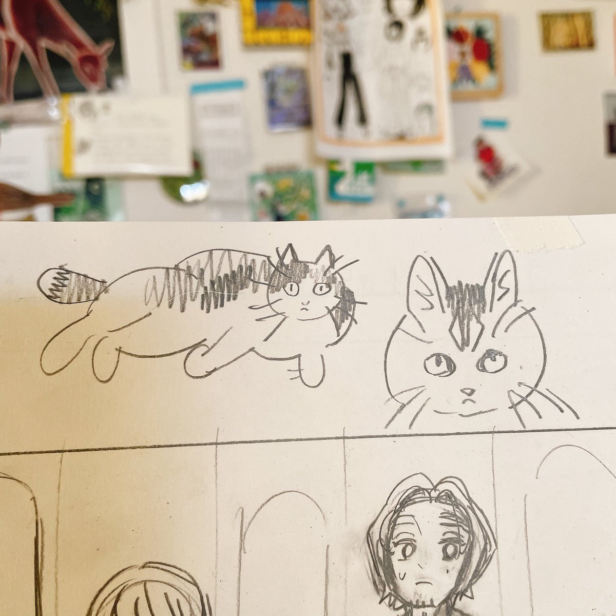 原稿に住む猫 