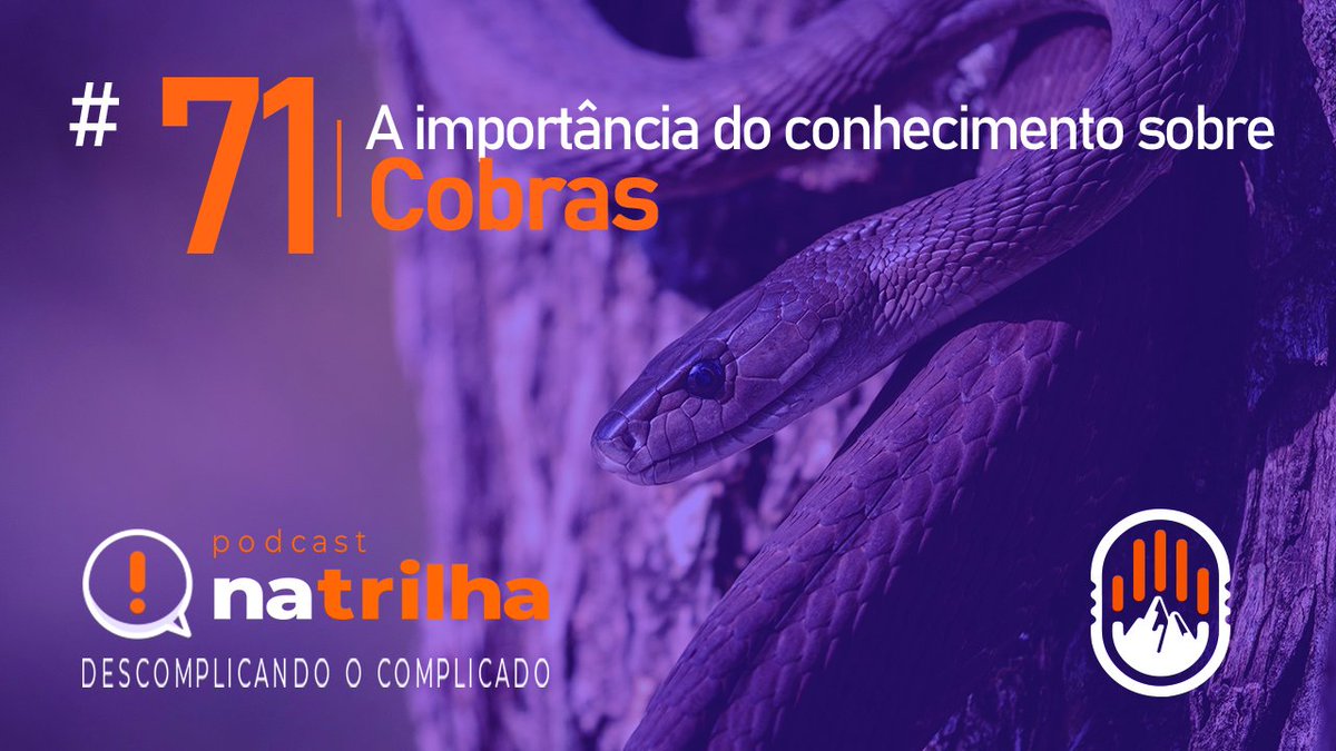NaTrilhaPC's tweet photo. Neste episódio do Natrilha, esclarecemos alguns tabus quanto as cobras.
Convidamos o professor Cláudio Machado, do @papodecobra para nos ajudar a compreender e preservar esses bichinhos tão importantes.
#serpente #podcast #cobra #ofidismo #herpetologia #biologia #natureza https://t.co/M7ww4lotdP