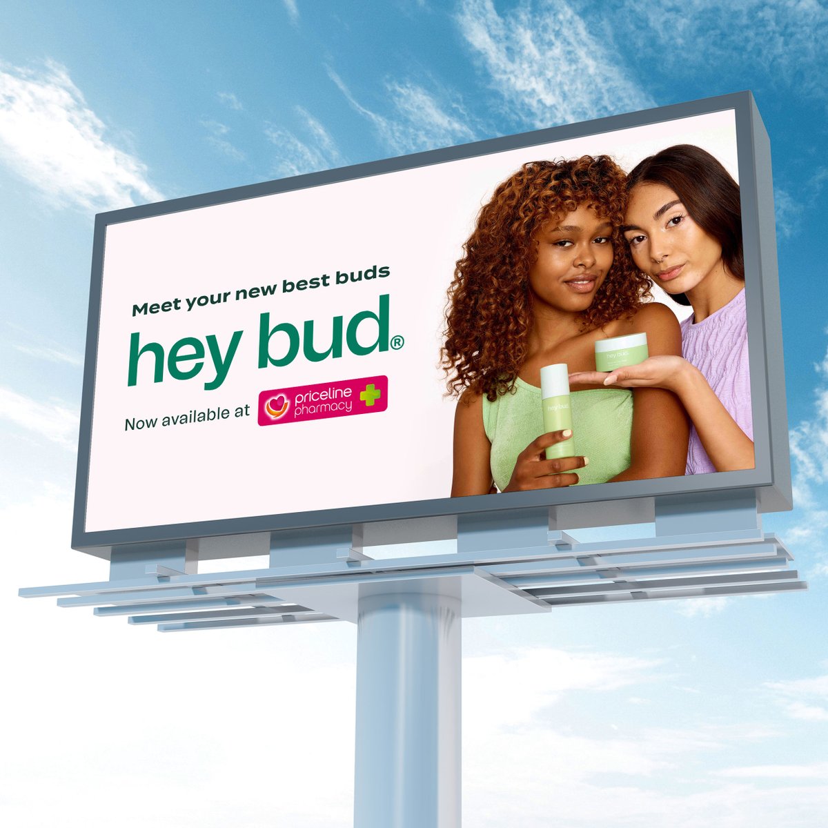 Hey Bud (@heybudskincare) / Posts / X