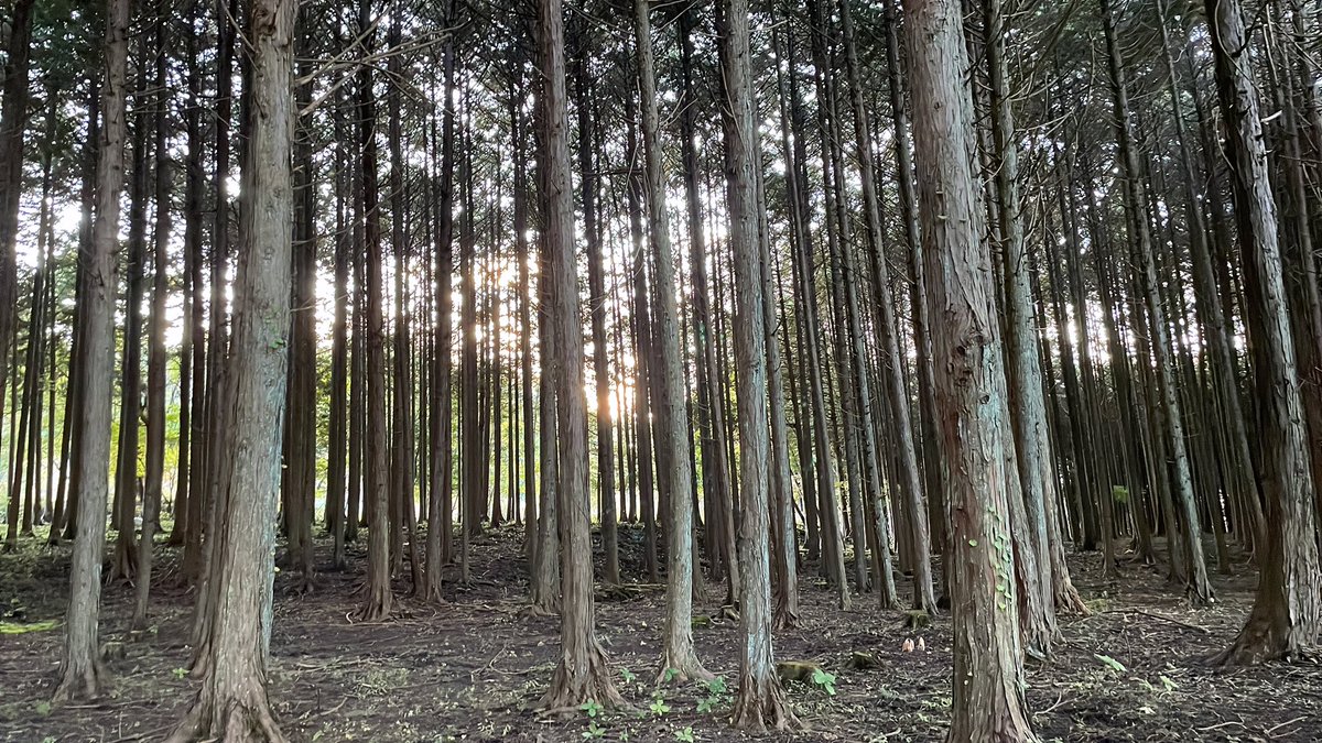piyoce's tweet photo. はじめてのキャンプは山梨県が都留市の和みの里オートキャンプ場にお邪魔しました( ˙꒳˙  )チルの連発でした
#ソロキャン #和みの里オートキャンプ場 https://t.co/zTpY9pTb6v