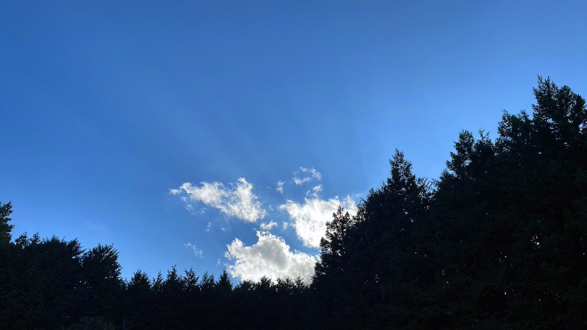 piyoce's tweet photo. はじめてのキャンプは山梨県が都留市の和みの里オートキャンプ場にお邪魔しました( ˙꒳˙  )チルの連発でした
#ソロキャン #和みの里オートキャンプ場 https://t.co/zTpY9pTb6v