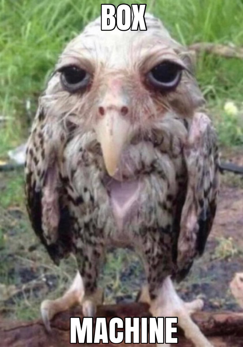 ⠀⠀
⠀⠀( ooc . ) ⠀⠀
⠀⠀ ⠀⠀
⠀⠀wanna do a shipping call but the verse is dead rn and it’s gonna flop ⠀⠀
⠀⠀