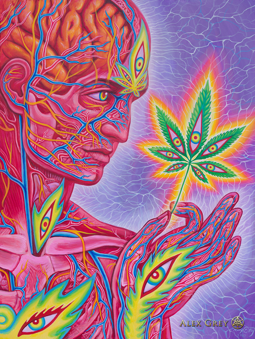 cannabishub's tweet photo. Beautiful artwork

📸 Alex Grey

#cannabis #stonerfam #legalizeIt #weedmob https://t.co/aLQC6b2rE5