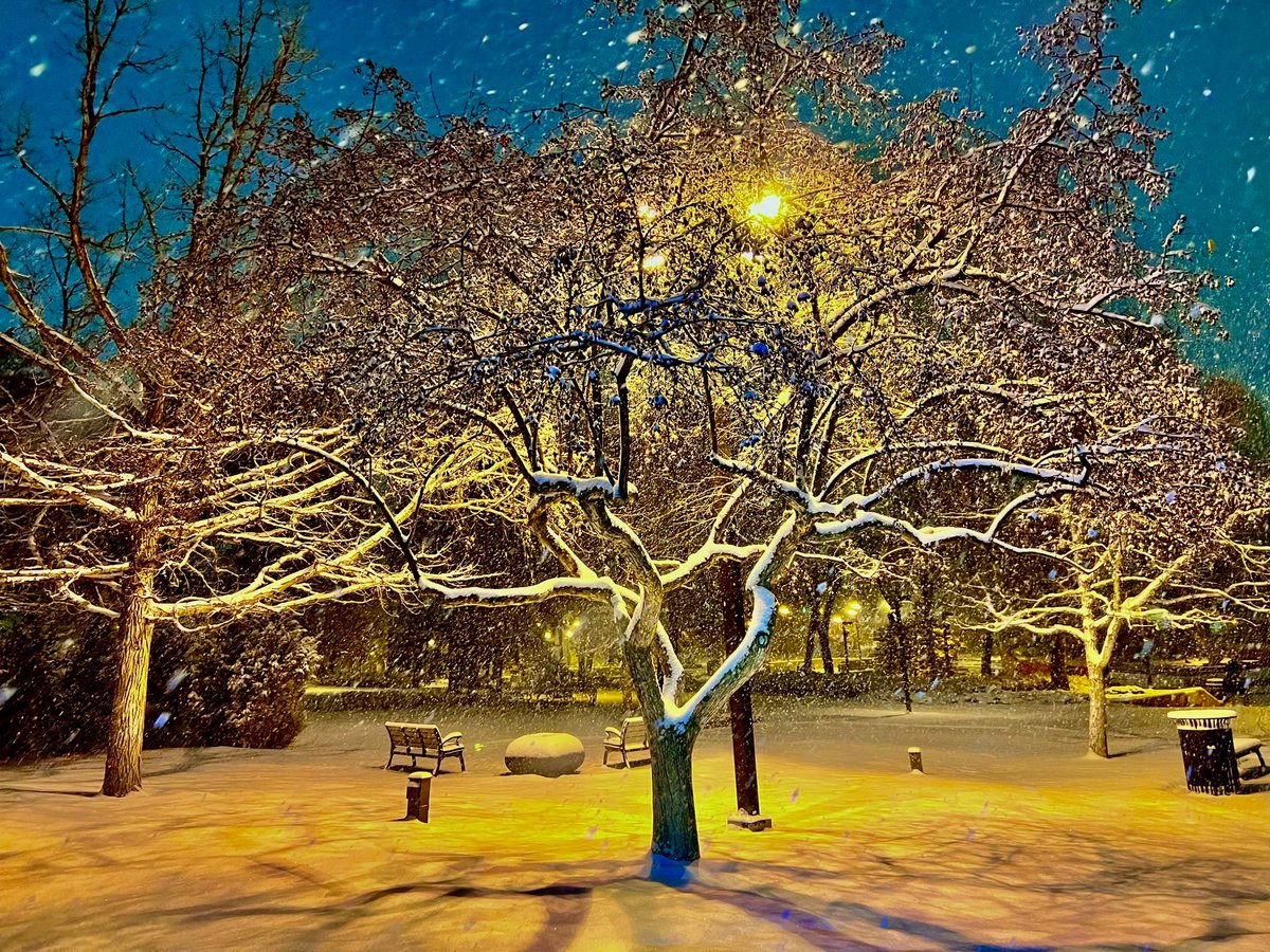 Wow so beautiful 🥰