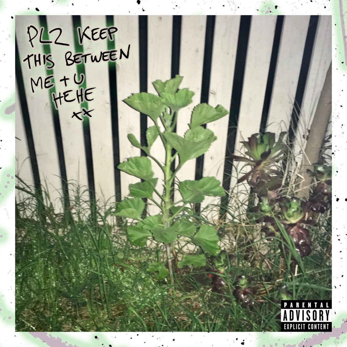 simo soo 🇵🇸🇵🇸🇵🇸🇵🇸🇵🇸🇵🇸🇵🇸🇵🇸 tweet media