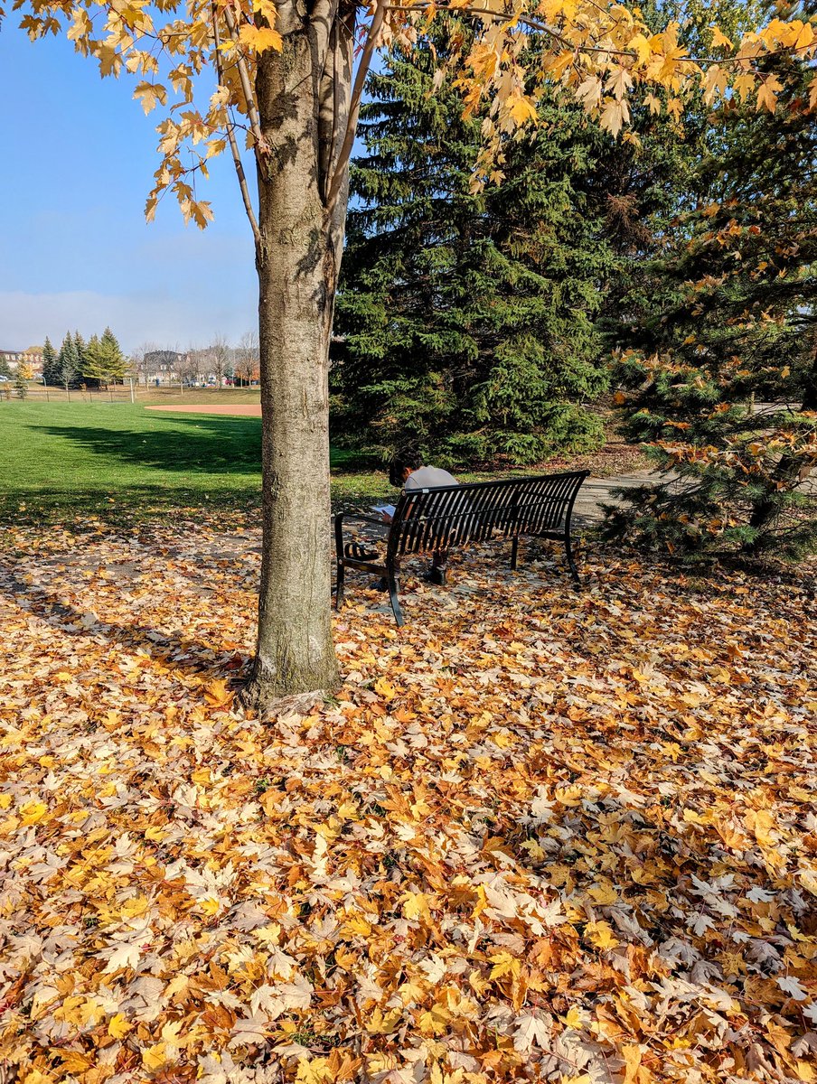 mrspclass's tweet photo. A beautiful day for some outdoor learning! 🍂 https://t.co/9tTma3qvv3