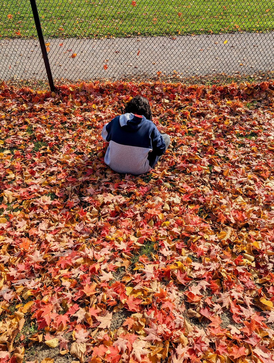 mrspclass's tweet photo. A beautiful day for some outdoor learning! 🍂 https://t.co/9tTma3qvv3