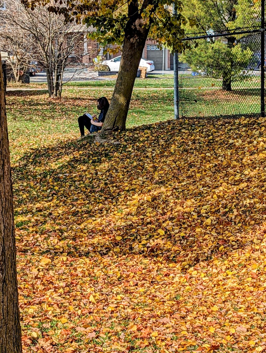 mrspclass's tweet photo. A beautiful day for some outdoor learning! 🍂 https://t.co/9tTma3qvv3