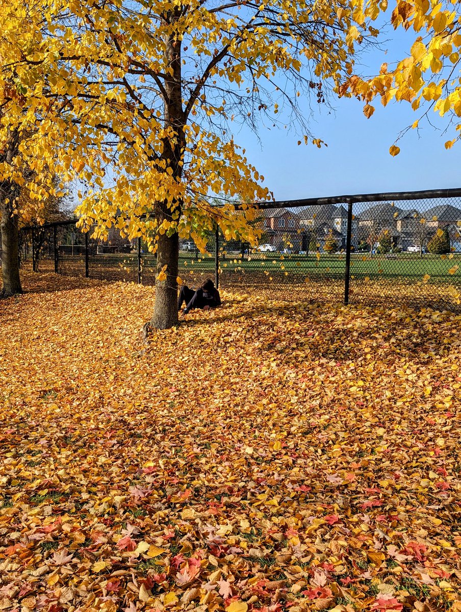 mrspclass's tweet photo. A beautiful day for some outdoor learning! 🍂 https://t.co/9tTma3qvv3