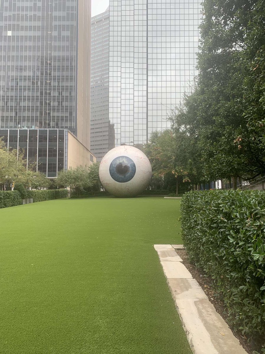 CalUHonors's tweet photo. Some beautiful pictures of Dallas taken by students attending the City as Text Session #nchc22 #honors https://t.co/LTcVp0SkFQ