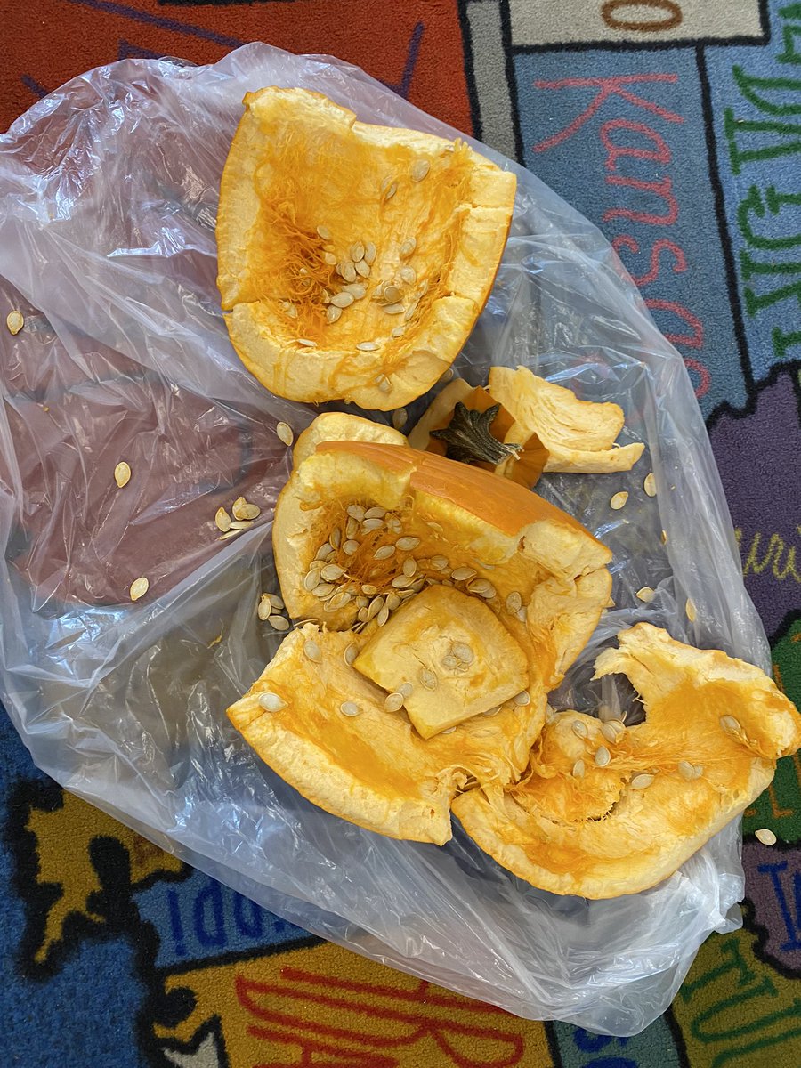 We analyzed the external structures of a pumpkin &amp; then had a pumpkin drop to analyze the internal structures! We learned about different types of pumpkins, what makes them orange and so much more! We had so much fun! 🎃