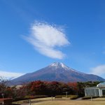 ツイートに含まれる画像