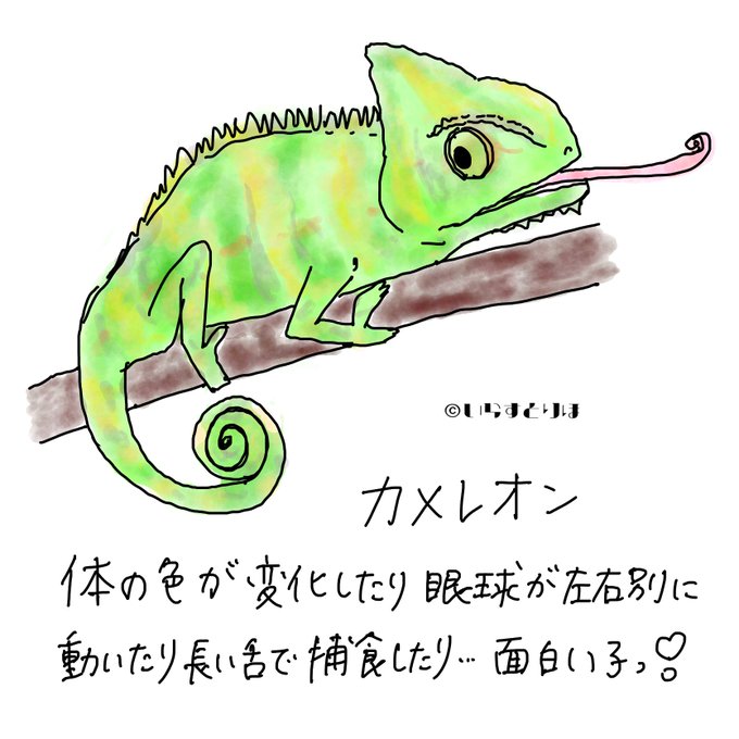 長い舌のtwitterイラスト検索結果