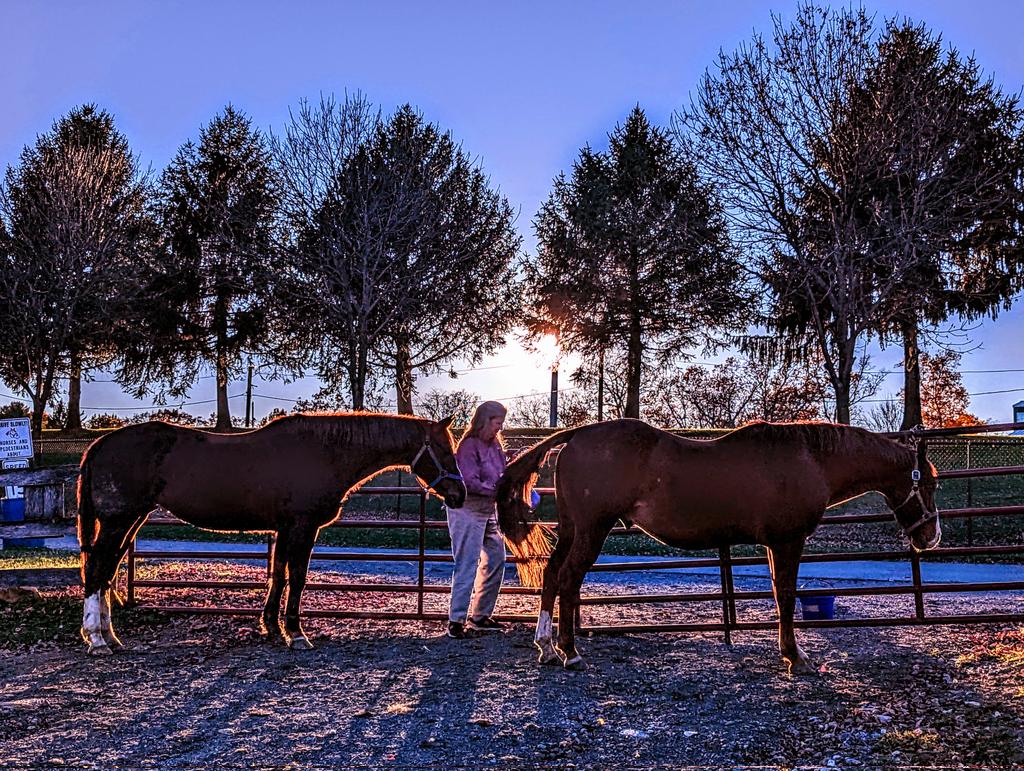kevindayhoff's tweet photo. Misty, Caroline, and George share a moment together in the Maryland autumn sunset. Thursday, 3Nov2022 https://t.co/ZTfJVsBFVA