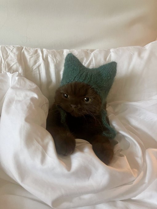 1 pic. winter is coming, gotta keep those ears warm ❄️ https://t.co/33bSmHrnGG