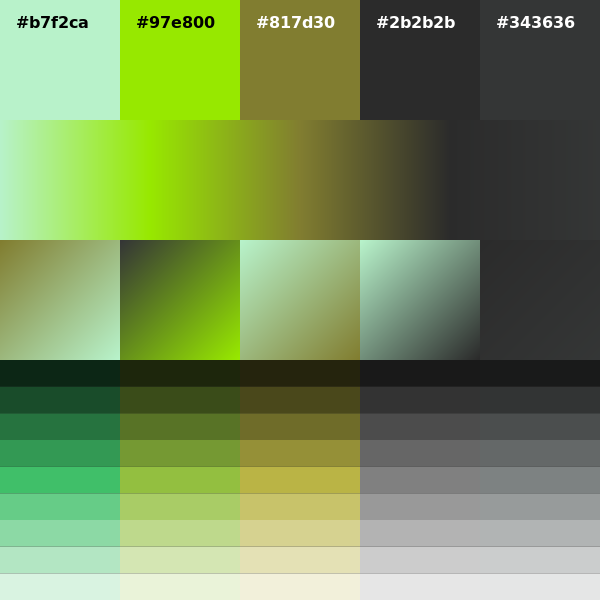 palett_es's tweet photo. #b7f2ca #97e800 #817d30 #2b2b2b #343636 #generative #design #colors #colorScheme #palette Download it from: https://t.co/eGde2kEHl1 https://t.co/zJoM0tEj3P