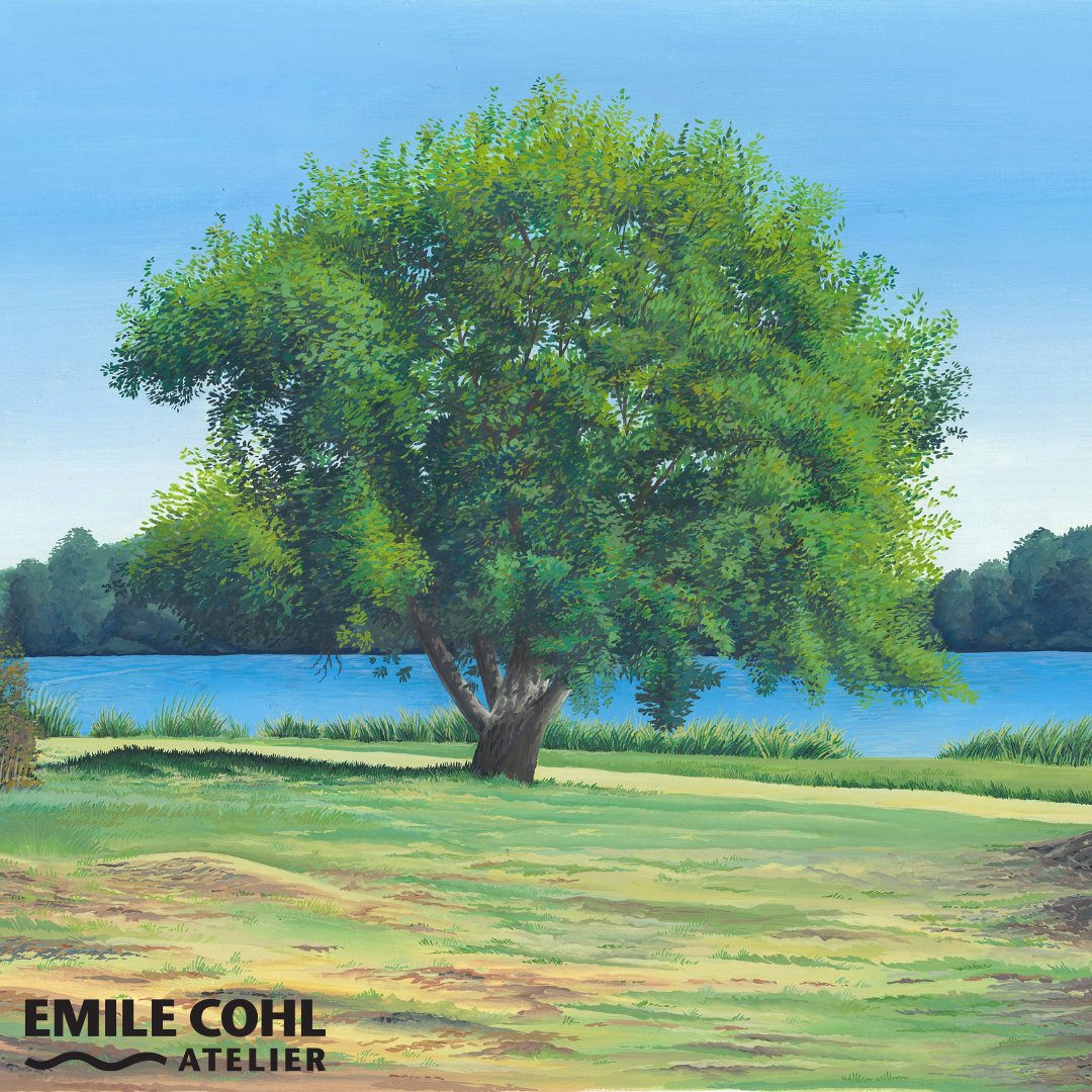 Emile_Cohl_LA's tweet photo. Beautiful landscape drawing by student Sylvain Renard. ☀️

@ecoleemilecohl

#landscapedrawing #texture #arttraining #nonprofit #emilecohlatelier https://t.co/qtUUOOkgfo