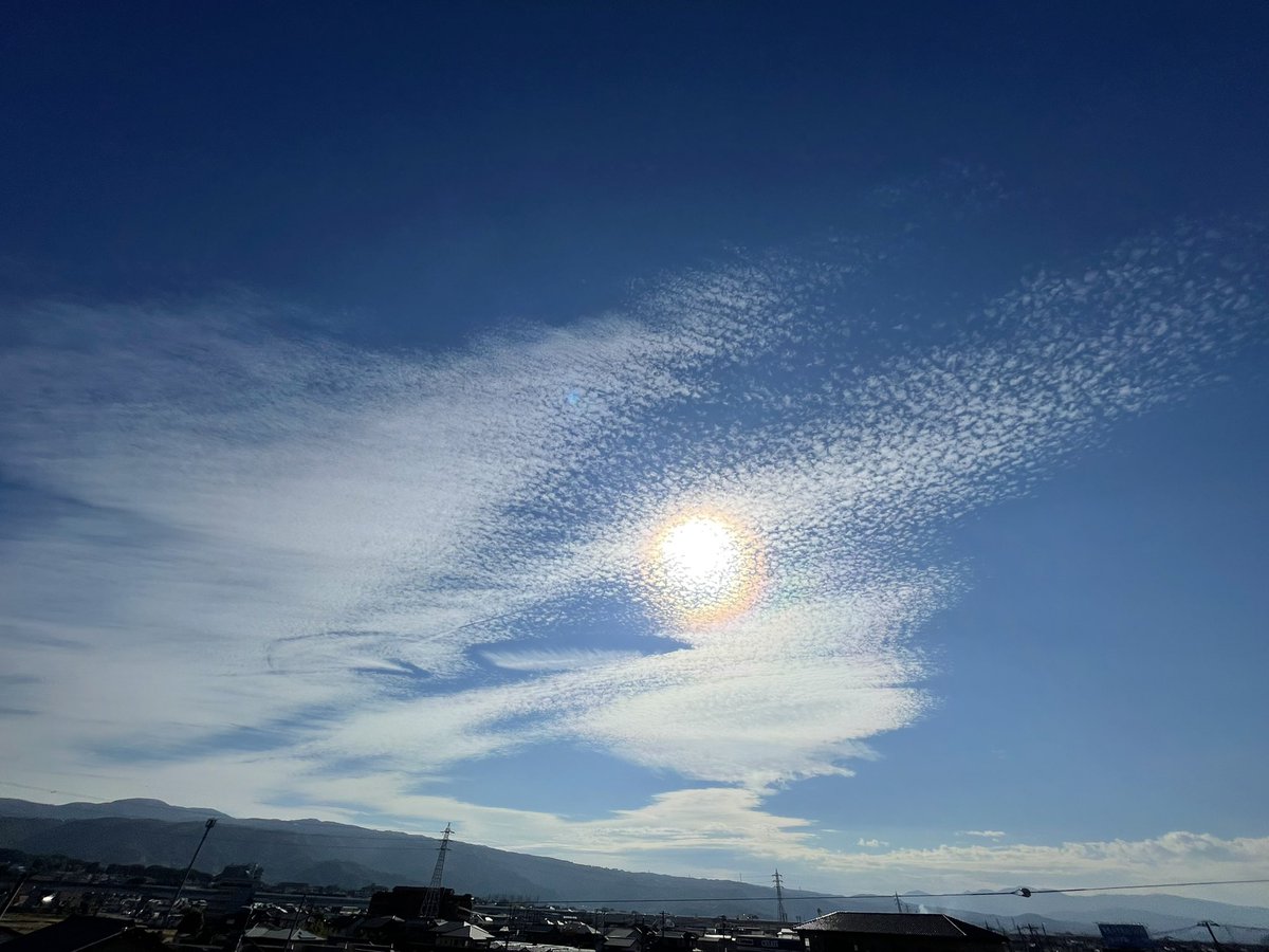 VooVDiamond's tweet photo. #今空
#彩雲
#天体の芸術 https://t.co/LcjMtqkTCz