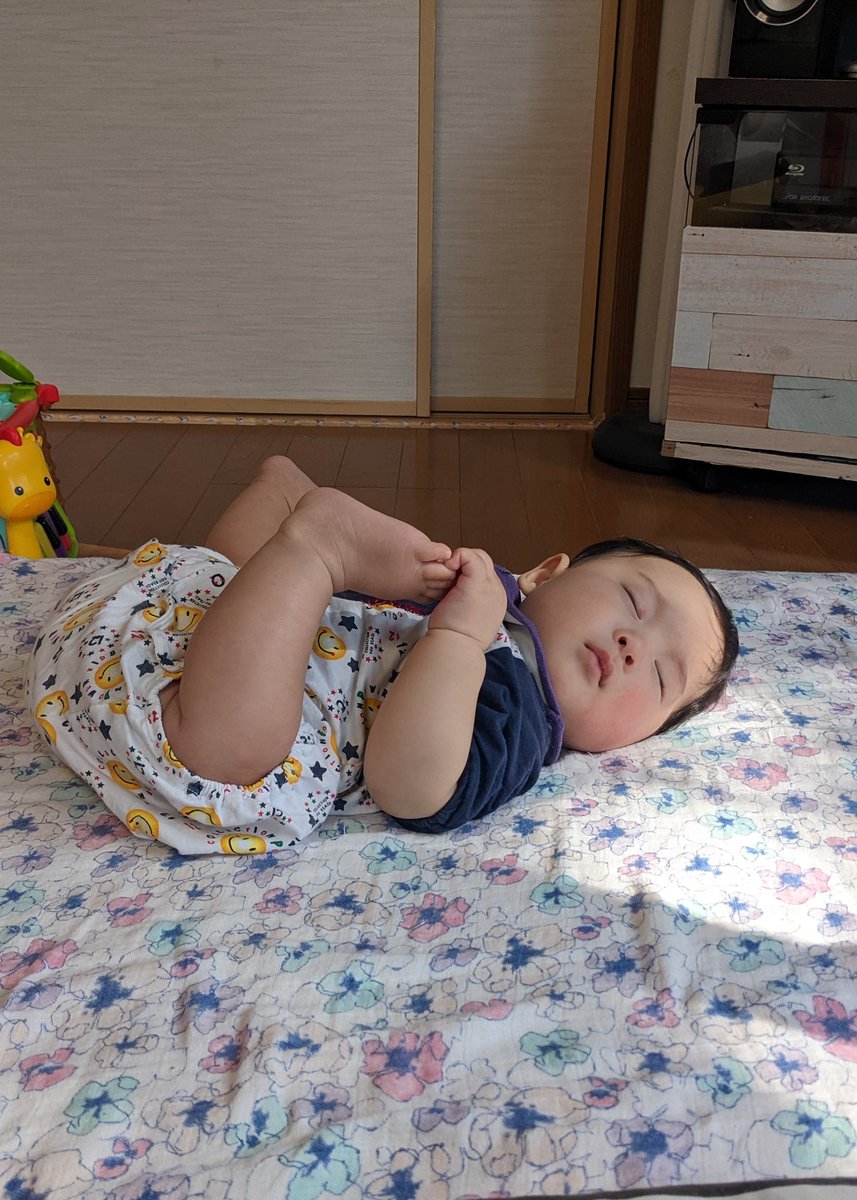 これ、寝てるんだぜ・・・可愛すぎんか・・・