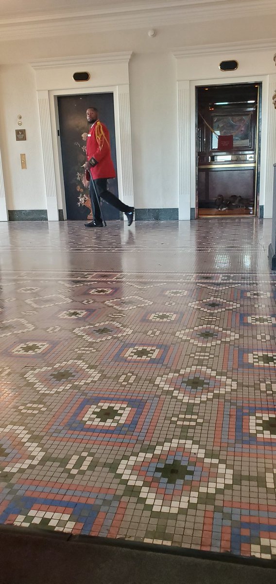 DallinLBrooks's tweet photo. Ducks on an elevator, Weird Al concert at Graceland. I guess moving from "Keep Portland Weird" to Memphis is not that different. https://t.co/T753DKQMtD