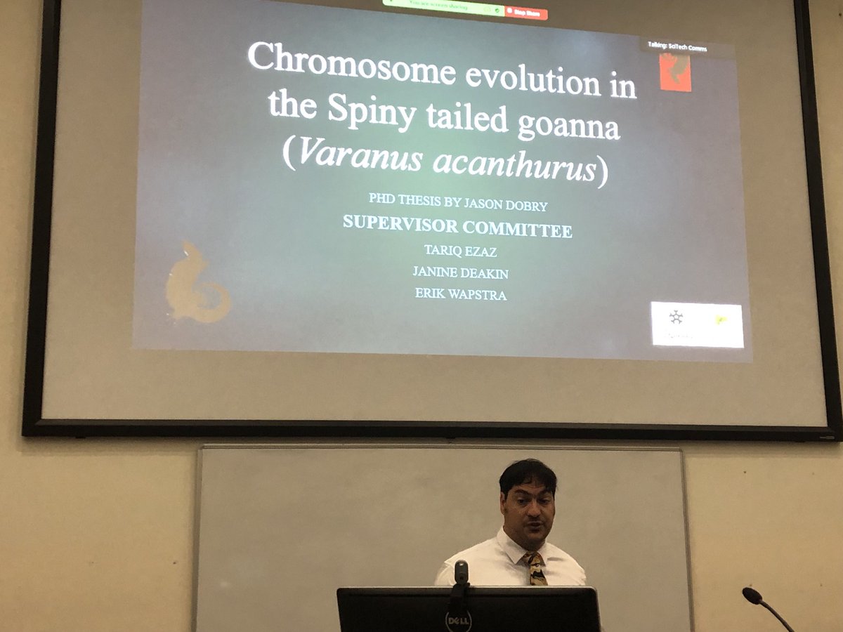 Chromosome evolution in the Spiny tailed goanna by ⁦@dobry_jason⁩ ⁦@UC_CCEG⁩ ⁦@UC_CAWS⁩ ⁦@IAEUC⁩ seminar. Amazingly interesting talk about cutting-edge research on chromosomics