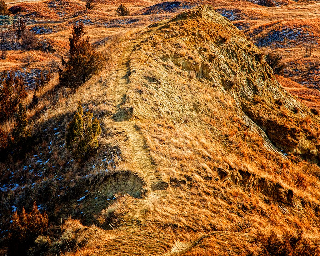 Ryderwriter tweet media