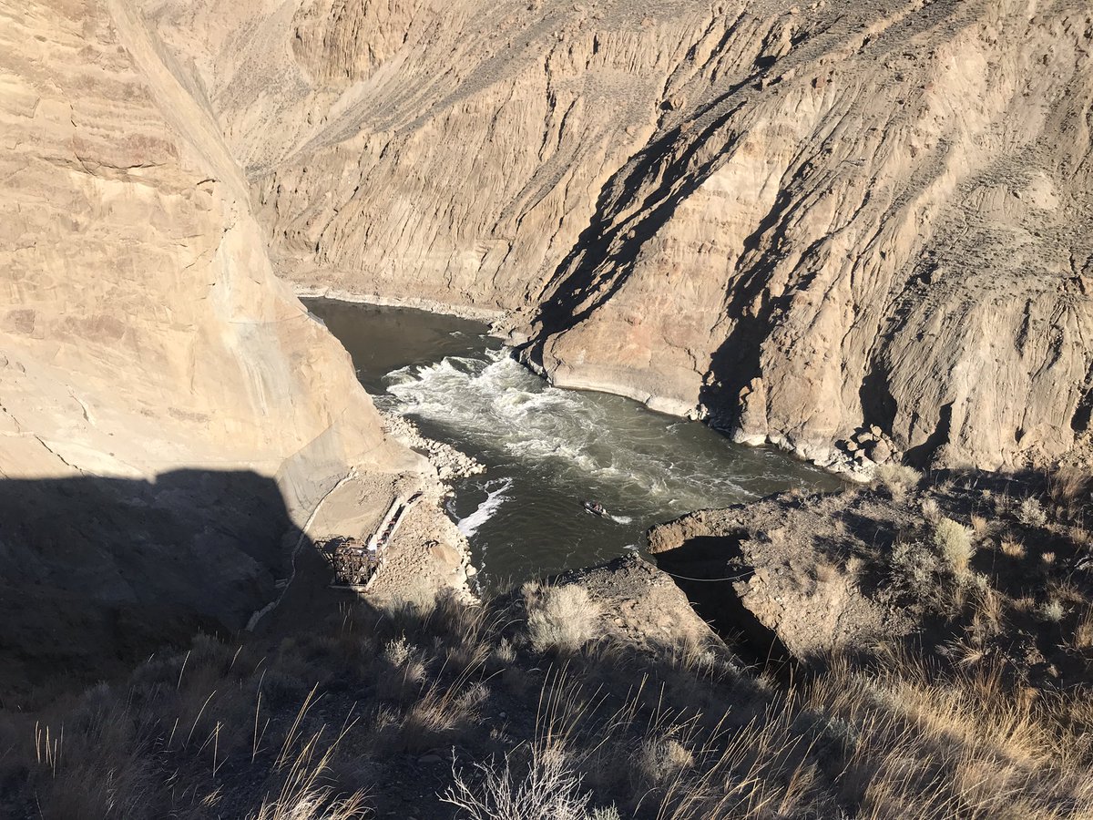 Jeremy Venditti tweet media