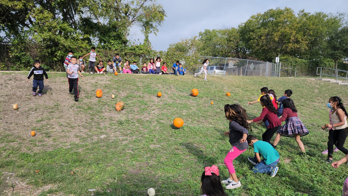 cs032081's tweet photo. Esta semana nos divertimos muchisimo aprendiendo sobre calabazas y haciendo nuestras investigaciones.Creo las fotos lo dicen todo. @GTGrizzlyBears @GTGrizzlies @gtprincipal186 https://t.co/g12tIpxogI
