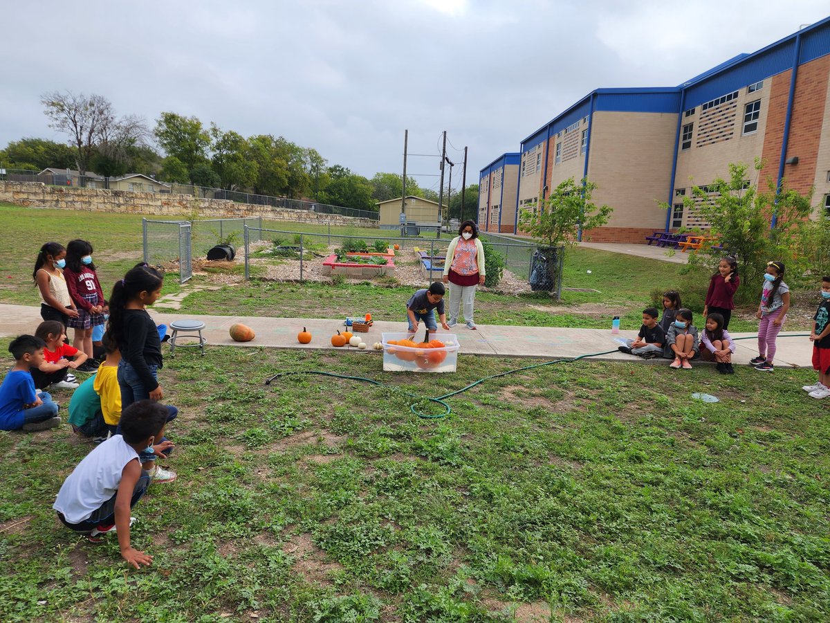 cs032081's tweet photo. Esta semana nos divertimos muchisimo aprendiendo sobre calabazas y haciendo nuestras investigaciones.Creo las fotos lo dicen todo. @GTGrizzlyBears @GTGrizzlies @gtprincipal186 https://t.co/g12tIpxogI
