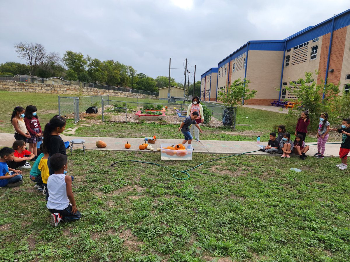 cs032081's tweet photo. Esta semana nos divertimos muchisimo aprendiendo sobre calabazas y haciendo nuestras investigaciones.Creo las fotos lo dicen todo. @GTGrizzlyBears @GTGrizzlies @gtprincipal186 https://t.co/g12tIpxogI
