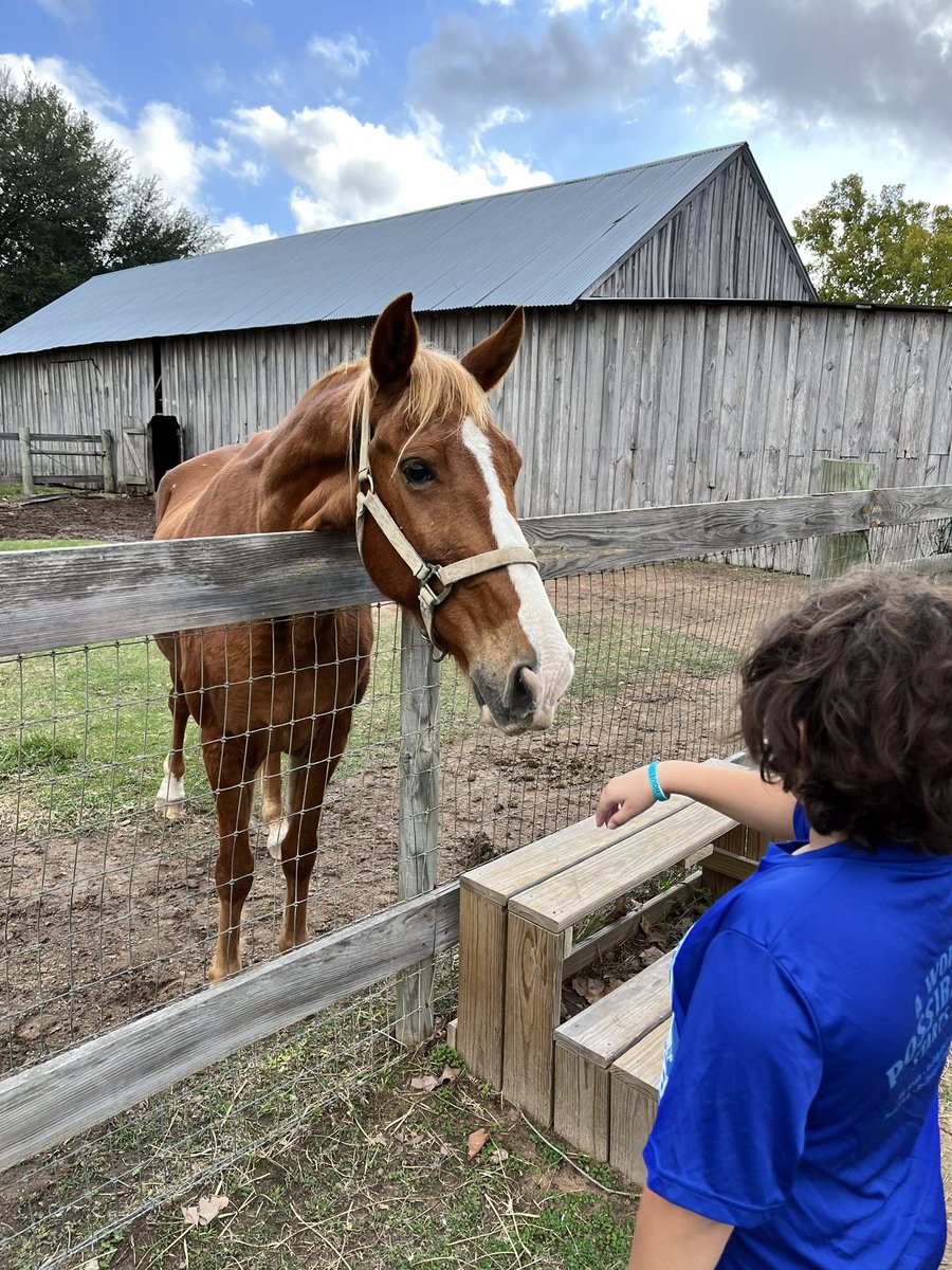 Jennifer Wallace tweet media