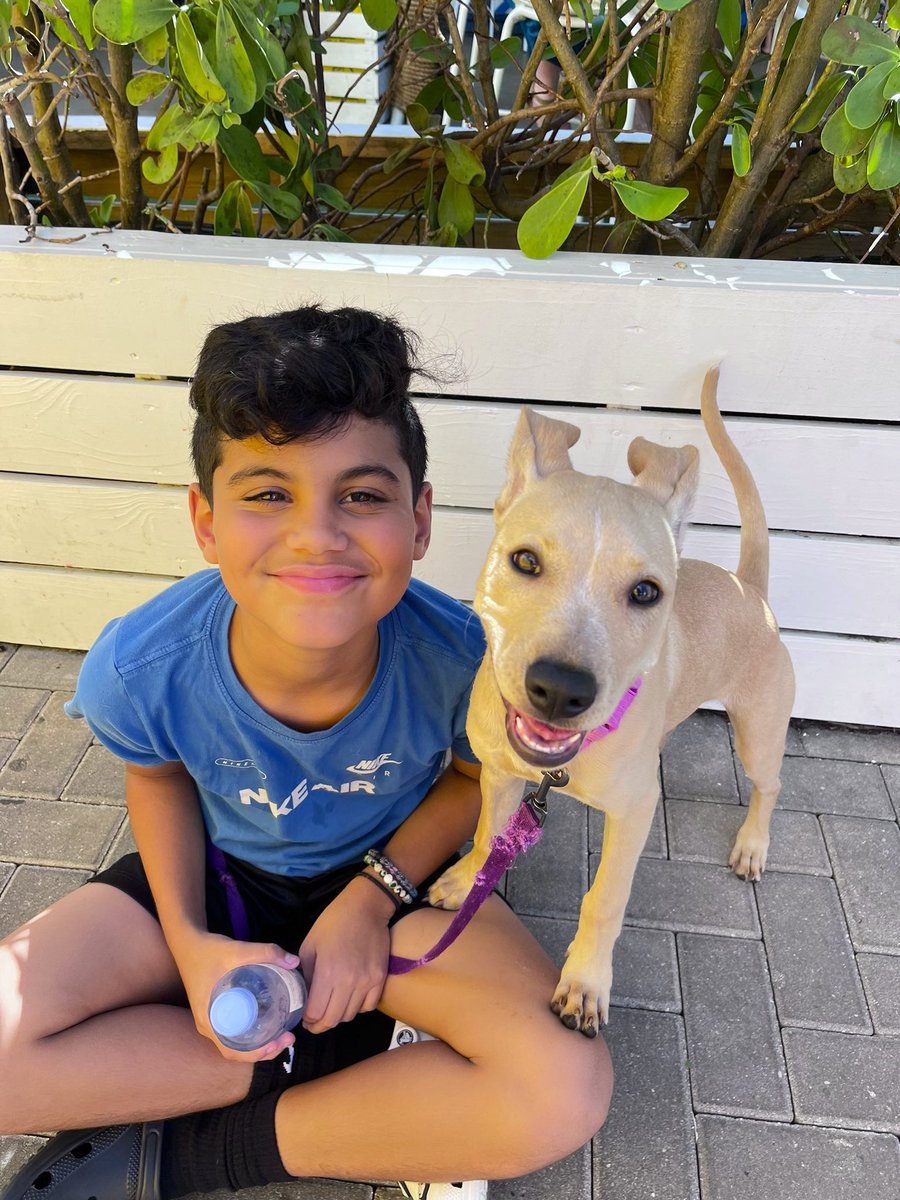 _brookemelissa's tweet photo. Twitter meet Nala. She loves long walks around the block and driving her mama crazy🥰🤭 https://t.co/lS8Tq29PXp