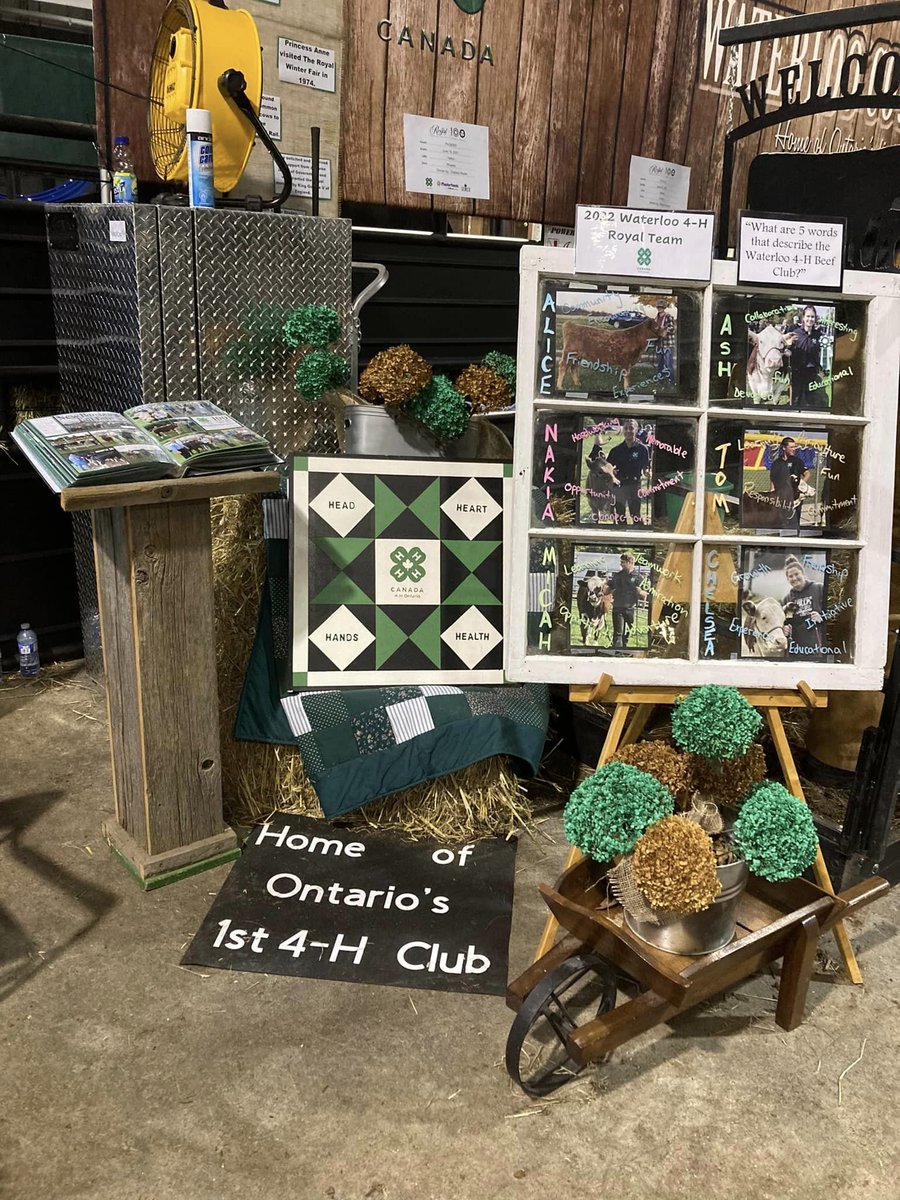 Waterloo4H's tweet photo. Waterloo 4-H Beef Club is ready for the Masterfeeds Jr Beef Heifer Show Friday and Saturday!
Come say hi if you're at the Royal this weekend. https://t.co/Yh069Sv6HV
