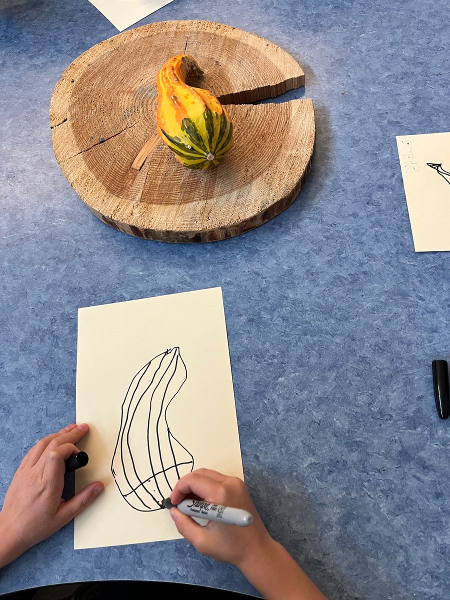 RoyaloakCBE's tweet photo. Oh Kai Kip Sii Toap - Kindergarten children practice “looking closely” while creating scientific representations of seasonal gourds @cbe_earlylearn @Indigenous_cbe https://t.co/Evkc10D3tP