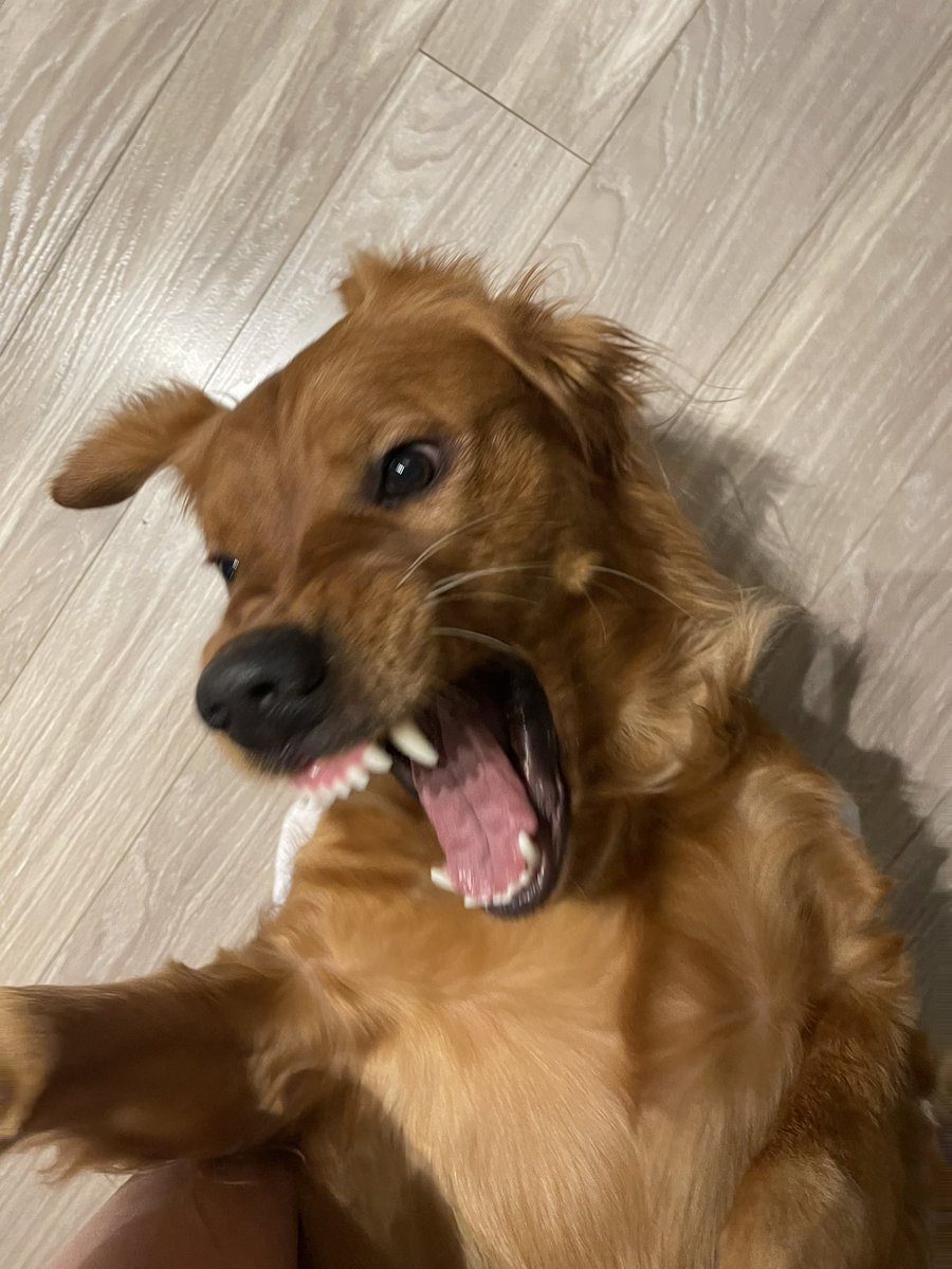 me reading the email