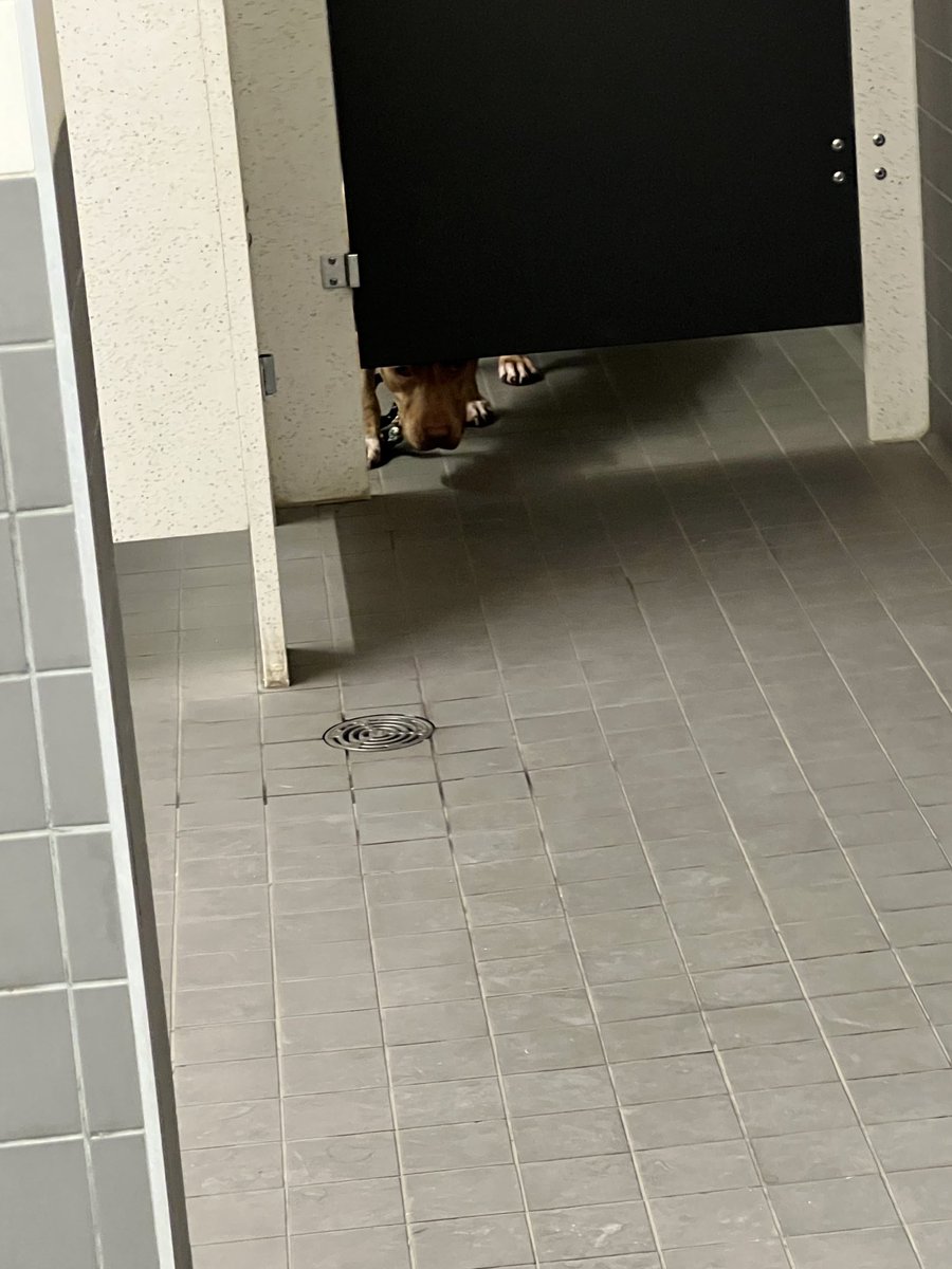 Guess I’ll settle for a number 1 today!