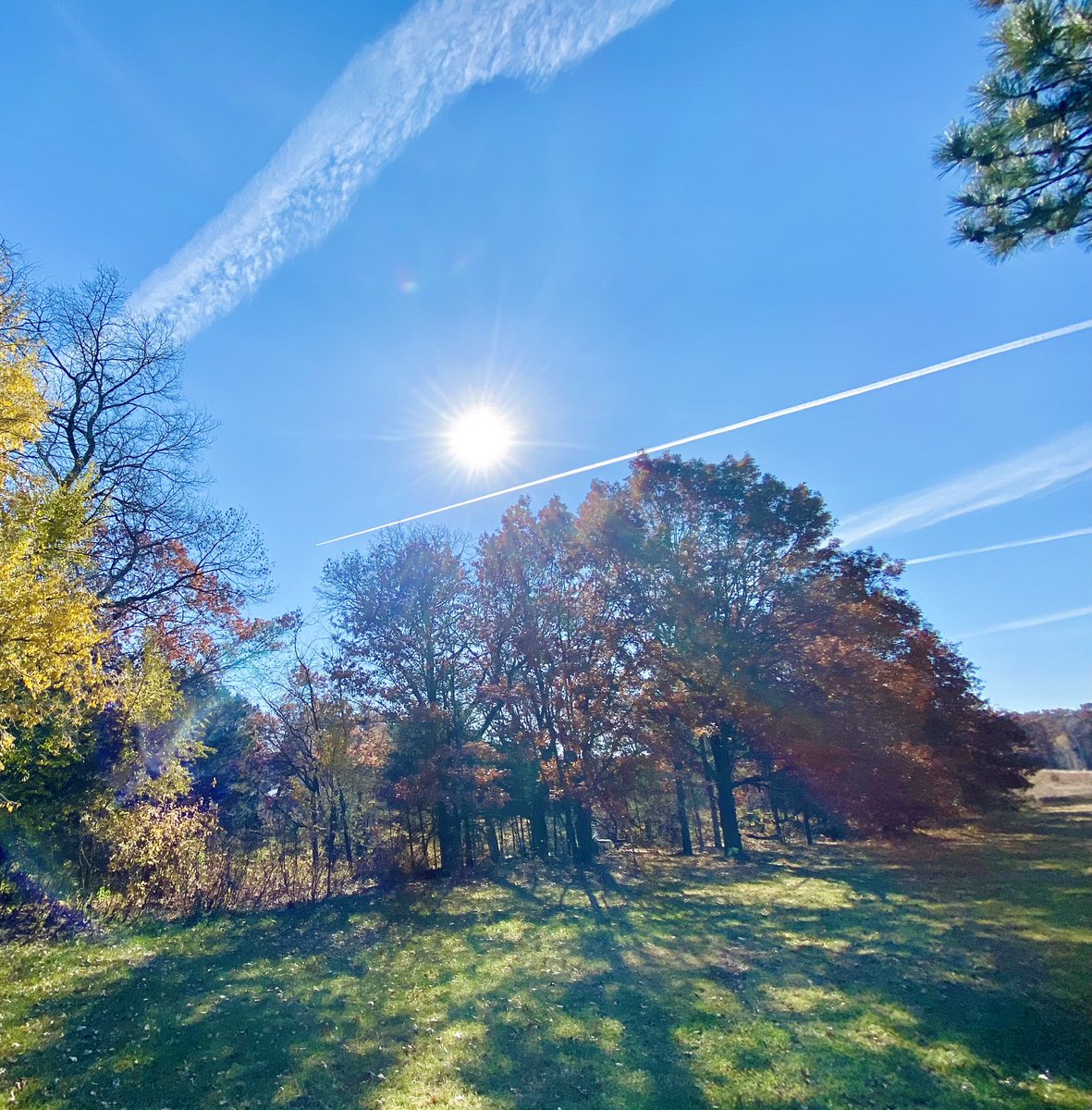 #chemtrails have been non stop for weeks. It’s getting hard for me to go outside. I’m starting to feel ill and can’t breathe after 20 or more minutes. #stopthechemtrails