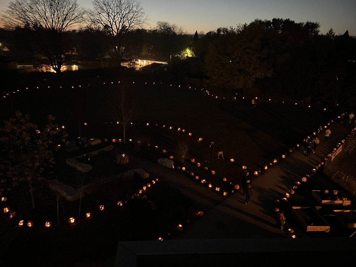 Great job <a href="/MaplehurstPS/">MaplehurstPS</a> School Council! Thank you for building community for Maverick families by creating the first annual pumpkin walk! <a href="/HaltonDSB/">HDSB</a>