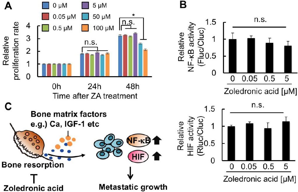 OAE_JCMT's tweet photo. #MedEd #CancerMetastasis #CancerResearch
🧐What are the latest research findings in the field of #bone #metastasis?
Key words:
1⃣bone metastasis
2⃣multiplexed bioluminescence imaging
3⃣zoledronic acid
🔗PDF: https://t.co/4JYdtnWqaL https://t.co/P4RJD4UMUp