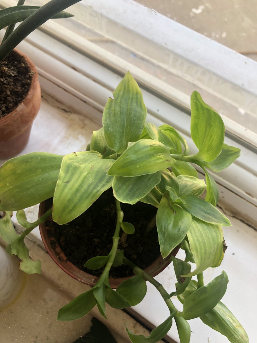 nooralfaily's tweet image. Weekend dump…

#weekend #weekenddump