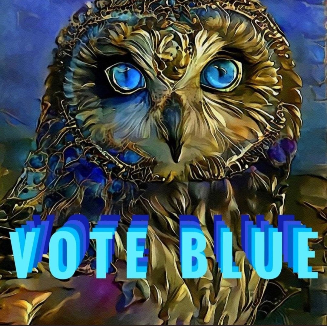 Owl vote blue, will you? Get it I will, owl 🙄. #VoteBlueDownBallotLocalStateFederal ffs!