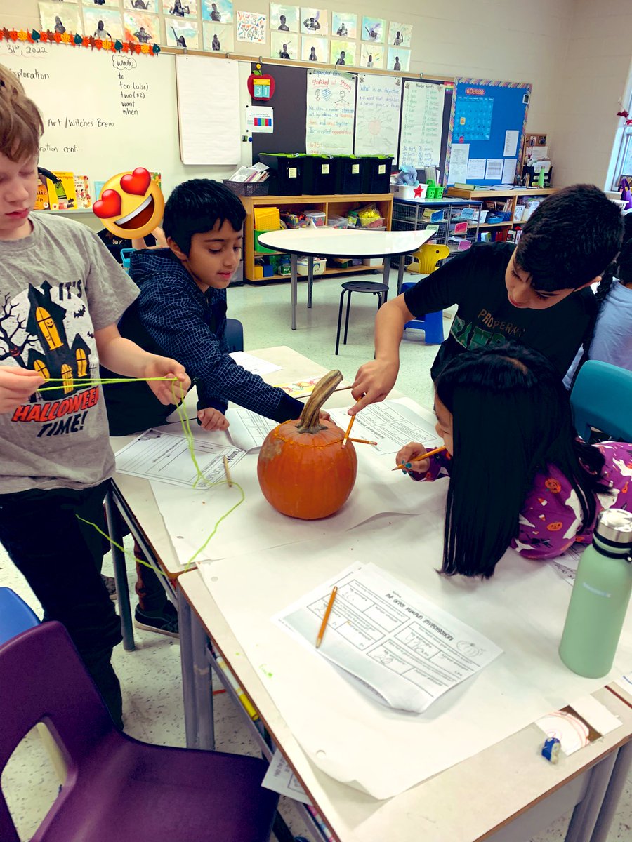 Mrs.Doak Grade 2 Class! tweet media