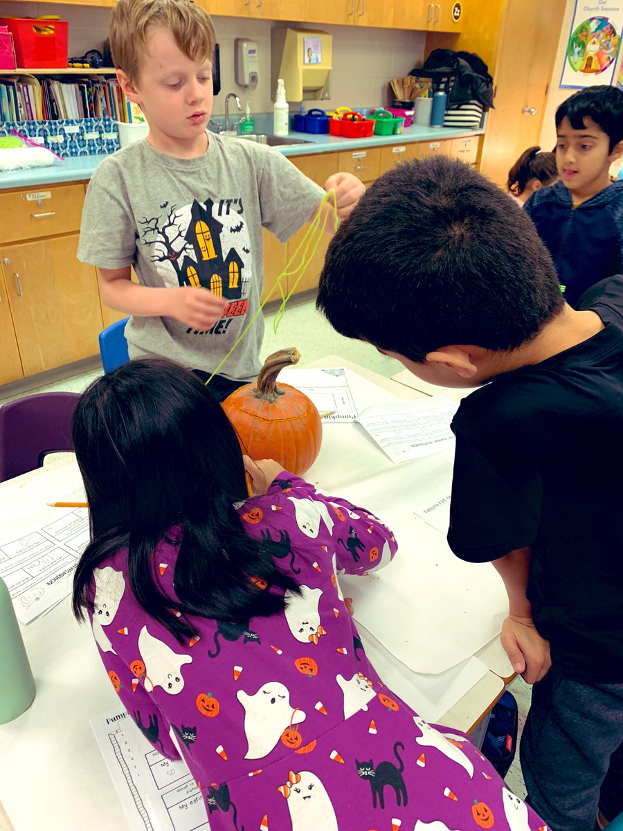 Mrs.Doak Grade 2 Class! tweet media