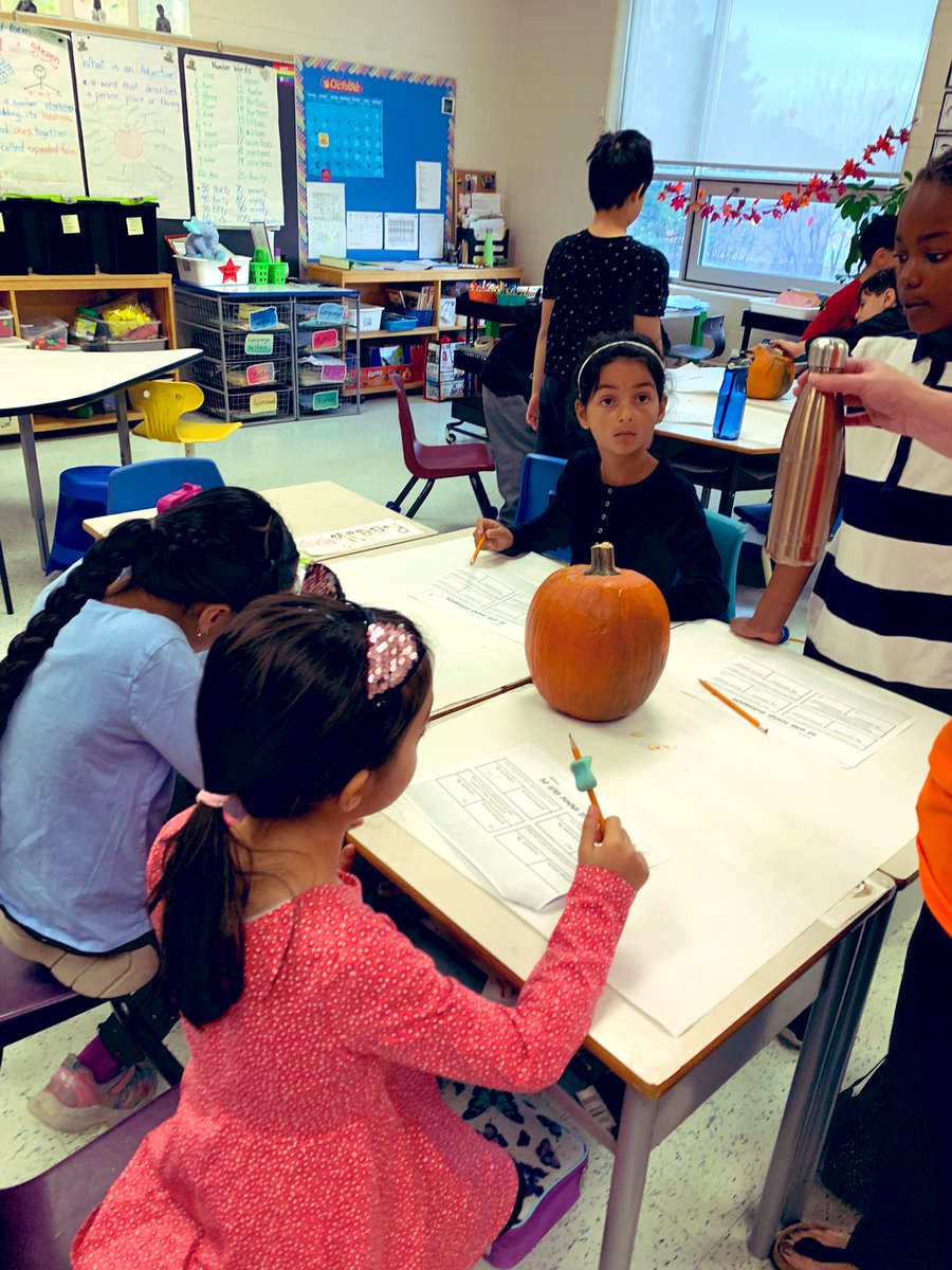 Mrs.Doak Grade 2 Class! tweet media